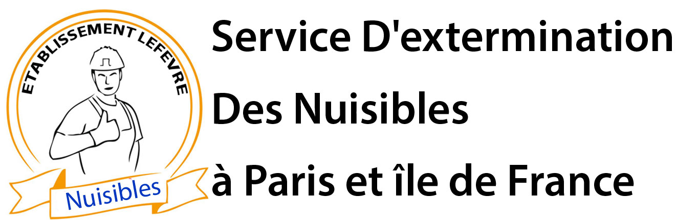 Entreprise  Désinfection Punaise de Lit Paris